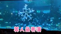 泉州欧乐堡海洋王国，美人鱼表演！时而优雅柔美，时而英姿飒爽！精彩！