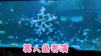 泉州欧乐堡海洋王国，美人鱼表演！时而优雅柔美，时而英姿飒爽！精彩！