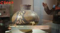 【2026】广东省博物馆|寻花记——中国花文化展”（ · ）【云游直播回放】-溜达搬运