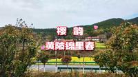 武汉，黄陂锦里沟的春日浪漫之旅