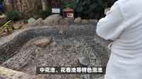 御龙温泉度假村：一场全感官的温泉体验之旅