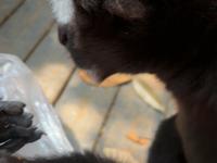 【普洱太阳河森林公园】视频加载中，速速查收惊喜！