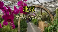 北京世界花卉大观园作为丰台区的地标，这里是真正的一花一草一世界……