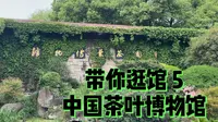 带你逛馆5 中国茶叶博物馆