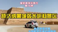额济纳黑城弱水胡杨景区，千年的胡杨和一座古城讲述着曾经的故事