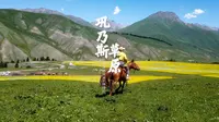 去什么那拉堤，来巩乃斯吧！没有门票可以自驾进景区，景色也很美