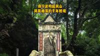 南宁武鸣起凤山｜凤凰栖落的千年秘境