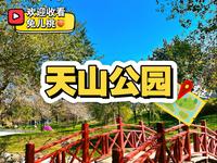 天山公园！这个公园也太好逛了吧！