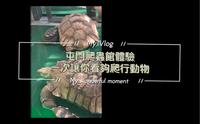 香港屯門 爬蟲館 一次看夠爬行動物