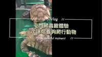 香港屯門 爬蟲館 一次看夠爬行動物