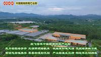 边走边拍：信丰中国赣南脐橙产业园