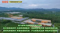 边走边拍：信丰中国赣南脐橙产业园