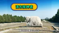 自驾唐山清东陵景区，第一次开车上神道近距离接触石像生，精彩