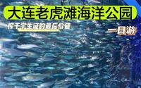 【大连老虎滩海洋公园•一日游】过生日顺便榨干学生证的最后价值