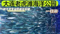 【大连老虎滩海洋公园•一日游】过生日顺便榨干学生证的最后价值
