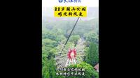 88岁赭山公园将迎新改变！