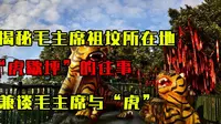 揭秘毛主席祖坟所在地“虎歇坪”的往事，兼谈毛主席与“虎”