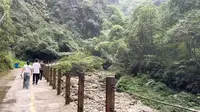 [1080p]2025.10.7 三峡竹海生态风景区 徒步