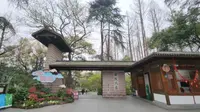 杭州西湖，曲院风荷