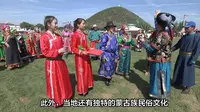 油松王旅游区：探秘千年古树，领略蒙古风情