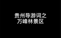 贵州导游词之万峰林景区