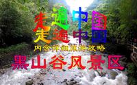 【走遍中国】重庆黑山谷国家森林公园【内含旅游攻略】