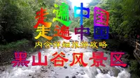 【走遍中国】重庆黑山谷国家森林公园【内含旅游攻略】