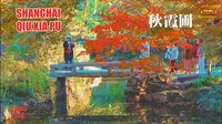 上海五大古典園林之一 I 秋霞圃 I 紅楓浸染時 I 4K