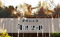 没有滤镜的昆明海洪湿地公园是什么样子