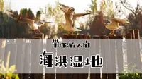 没有滤镜的昆明海洪湿地公园是什么样子