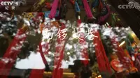 【央视】纪录频道CCTV-9《南锣鼓巷》