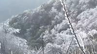 冬日游湘中邵阳岳坪峰（龙山）