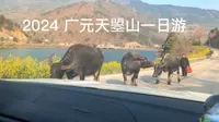 2024年广元天曌山一日游