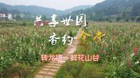 共享世园 香约金堂——转龙镇鲜花山谷