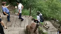 百尺峡下山第一视角