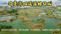 航拍厦门马銮湾双溪湿地公园，还没开放，我们先目睹一下它的风采
