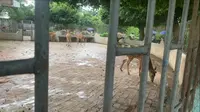 湛江金鹿园