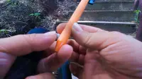 那拉提河谷草原天鹰台，够你爬了