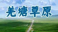 西藏那曲羌塘草原