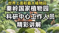 世界上面积最大植物园：陕西《秦岭国家植物园》，科研中心主任朱琳和副主任李亚利精彩讲解。《兰知春序》“游知万物”