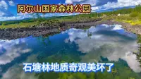 阿尔山国家森林公园，石塘林地质奇观美坏啦！
