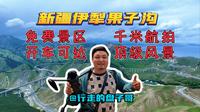 新疆伊犁果子沟！免费景区！开车直达！航拍1000米限高！爽歪歪！
