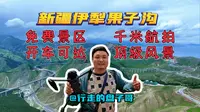 新疆伊犁果子沟！免费景区！开车直达！航拍1000米限高！爽歪歪！