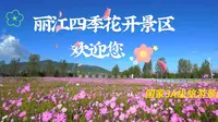 丽江四季花开景区欢迎您！