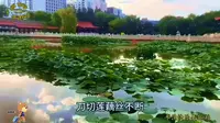 榆林的世纪广场
