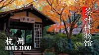 要是博物馆都这么美，轻松待上一整天 I 杭州中国茶叶博物馆 I 治愈系风景