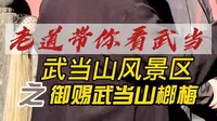 11月21日 御赐武当山榔梅