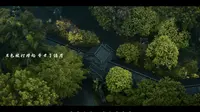 航拍-南宁青秀山
