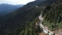 【4K精剪】西藏林芝大赏鲁朗林海