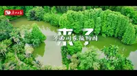 全球一流，就在广州！华南国家植物园来了！